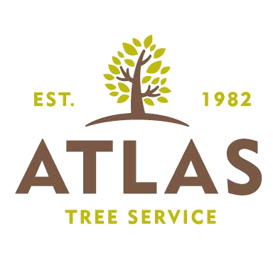 Atlas Tree Service Large Logo