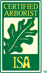isa-certified-arborist - Arborist San Diego