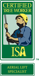 isa-tree-worker-aerial-lift - Arborist San Diego-