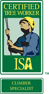 isa-tree-worker-climber - Arborist San Diego