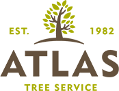 Atlas Tree Service Began As A Small Group In 1982, Employing About 75 People Throughout San Diego ...