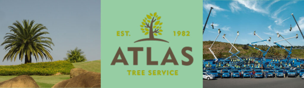 Atlas Tree Service in San Diego, California