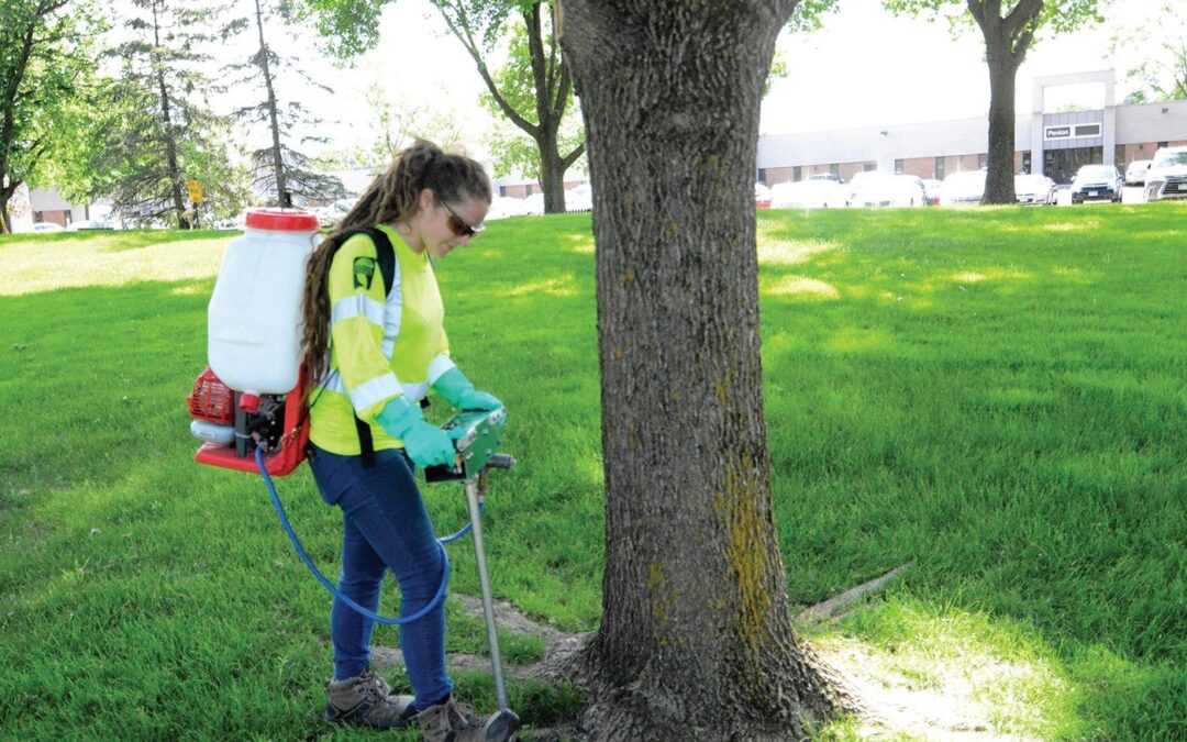 Tree Growth Regulators